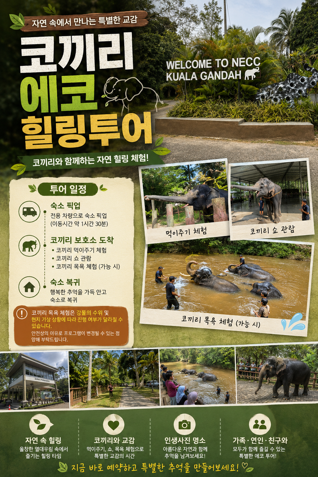 쿠알라룸푸르 코끼리 에코 힐링투어 먹이주기 코끼리쇼 목욕체험 아이들과 함께 즐거운 경험 - 상세 이미지 2