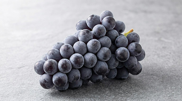 산지직송 15Brix+ 고당도 프리미엄 켐벨 포도 1kg (3~5수) - 상세 이미지 2