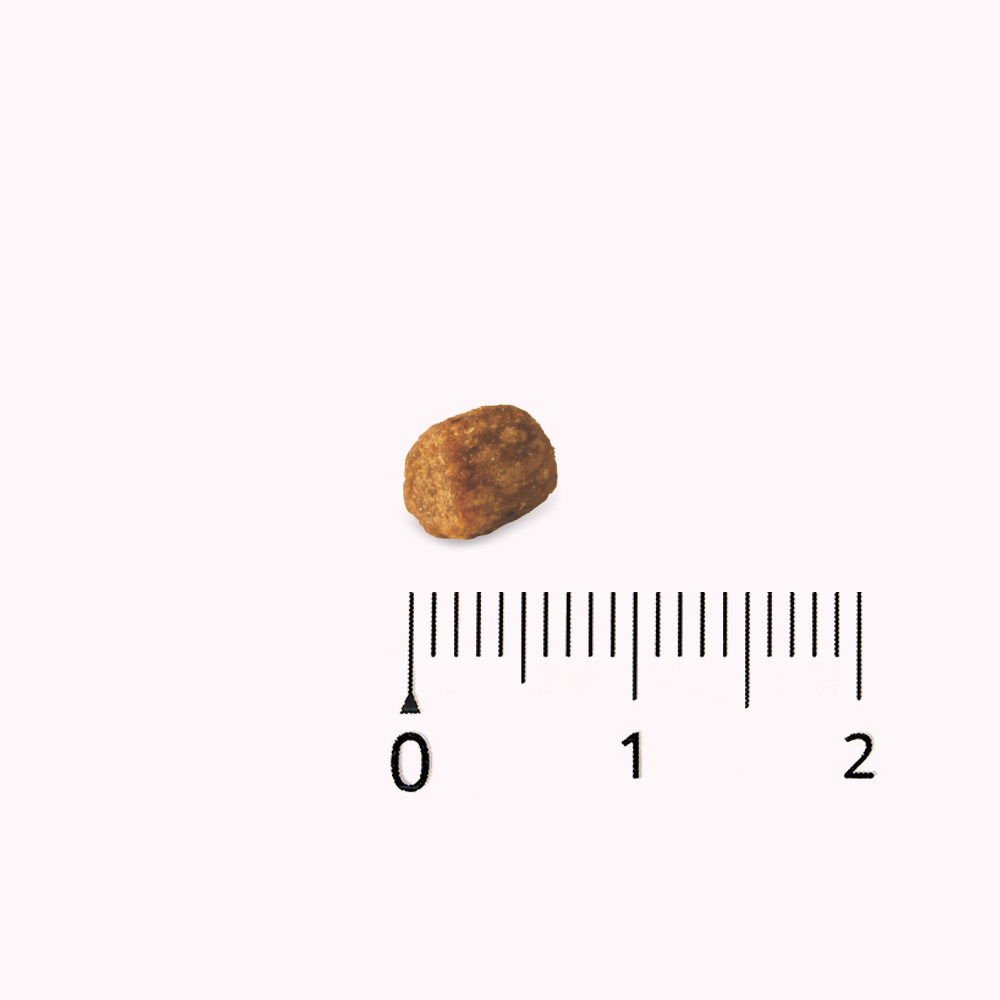 후코051 말랑 소프트 사료 하이포알러제닉, 4.8kg, 1개 - 상세 이미지 3
