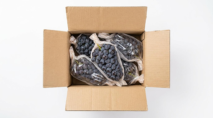 산지직송 15Brix+ 고당도 프리미엄 켐벨 포도 1kg (3~5수) - 상세 이미지 3