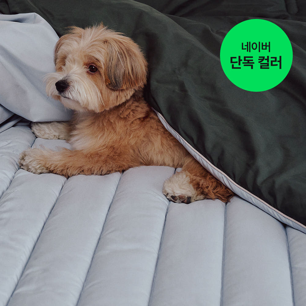 NEW 필굿 컴포트웰 알러지케어 패드 SS 상품 이미지