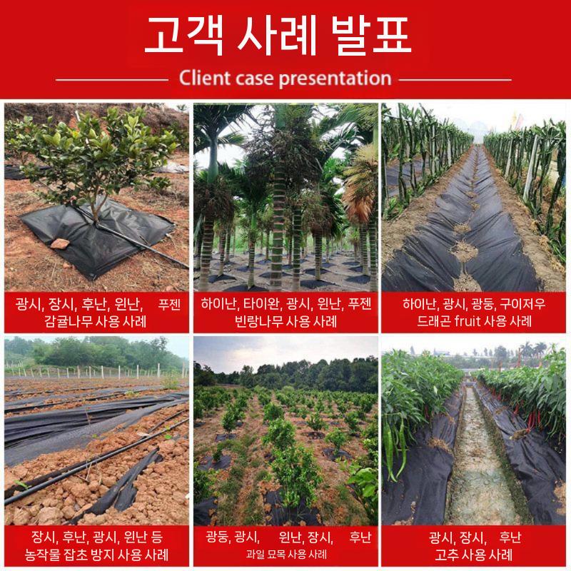 과수원 부직포 고추밭매트 나무 농업용 덮개 텃밭용 잡초 1x50m - 상세 이미지 4