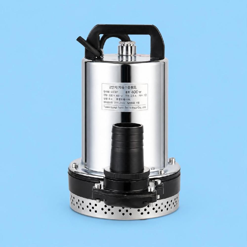 수중펌프 차량 펌프 물펌프 수중 DC 양수기 농업용 배수 배수펌프 2인치 12V 300W 2.5m 라인 - 상품 이미지