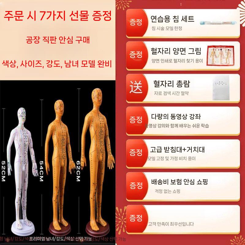 한의학 침술 모형 실습 혈자리 인체 훈련용 교구 35cm 남성 - 상세 이미지 4