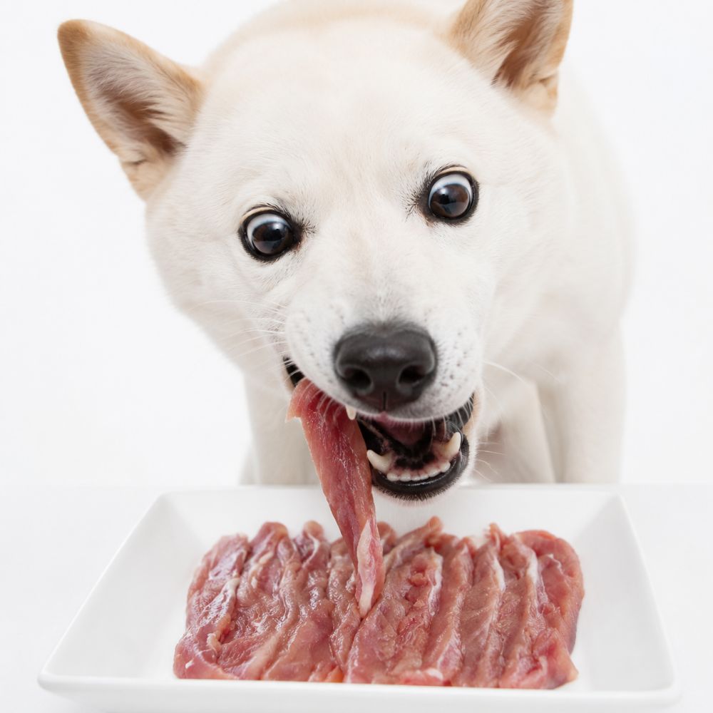강아지 생식 화식 만들기 국내산 무항생제 오리안심 1kg - 상품 이미지