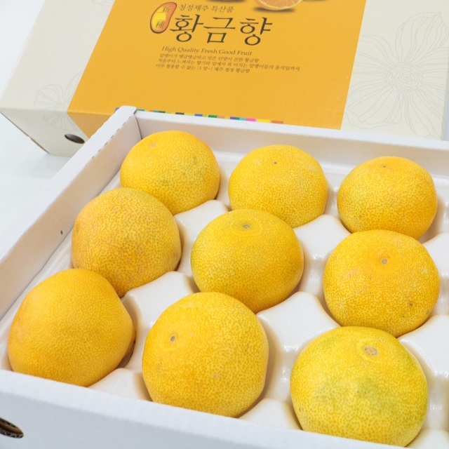 [농할20%] 국내산 제주 황금향 3kg 5kg - 상세 이미지 2
