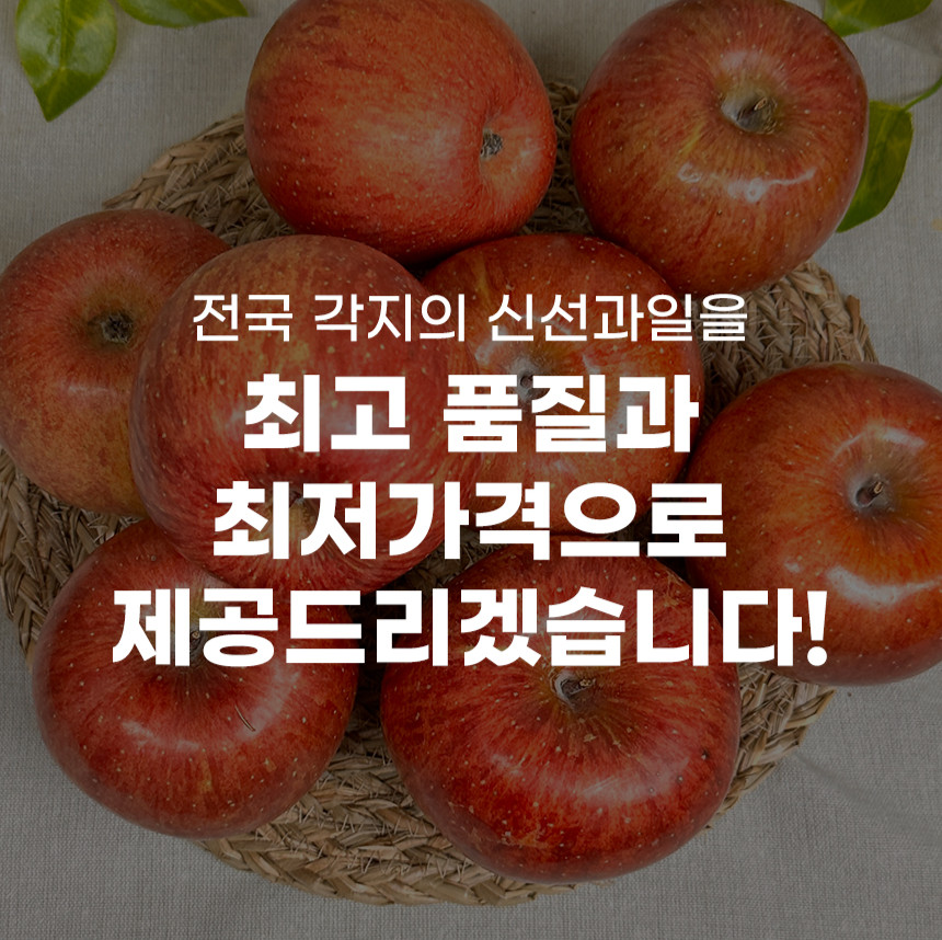 못난이 문경사과 엔비 홍로 부사사과 5kg 보조개 예산 청송사과 10kg 이미지 6