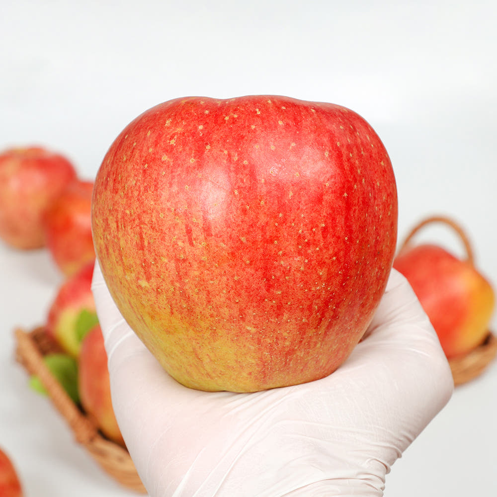 토해원 홍로사과 특품 대과 1kg 2kg 국내산 햇사과 - 상품 이미지