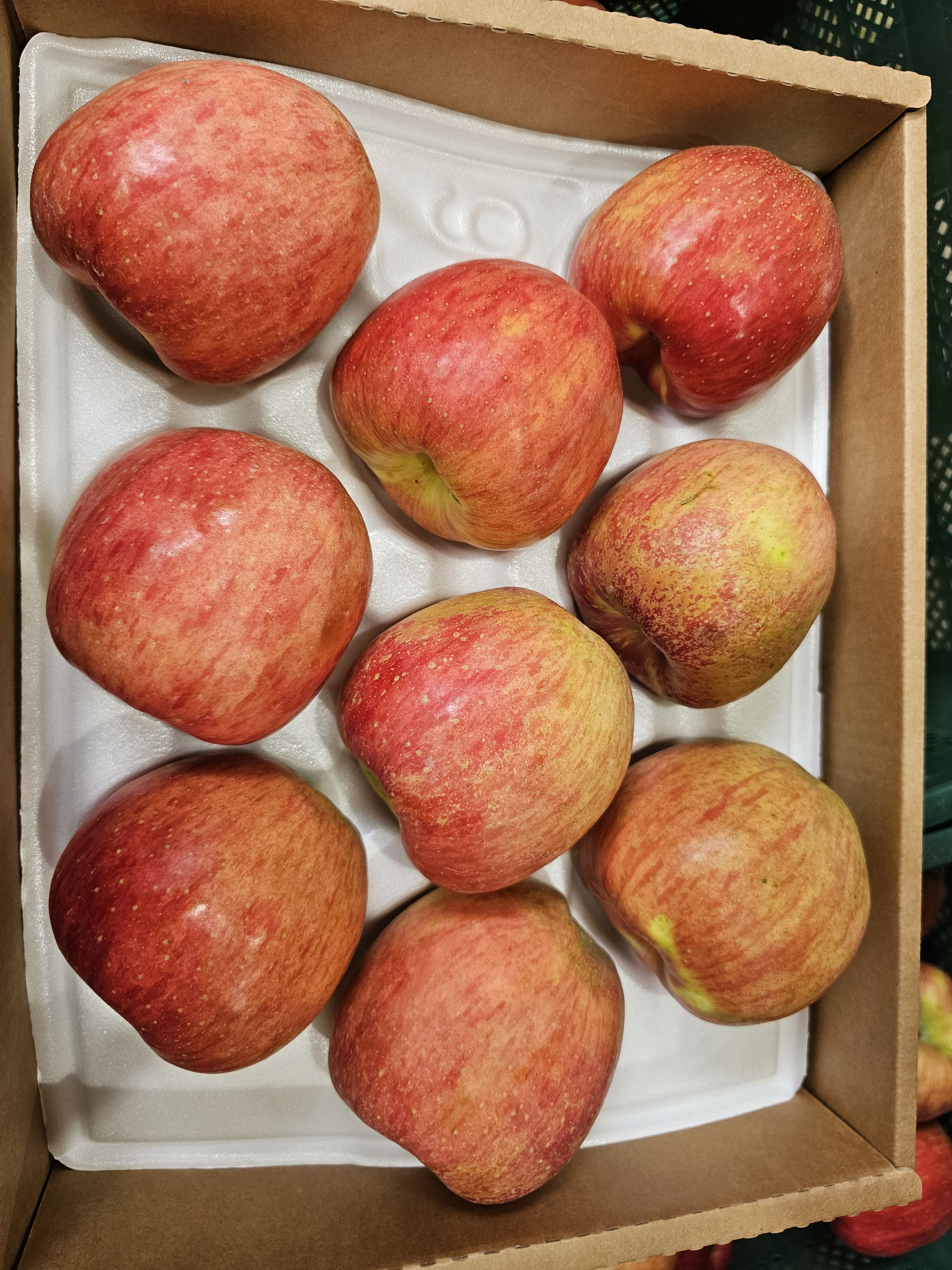 신선마켓 맛있는 홍로 사과 소과, 2kg, 1개 - 상세 이미지 2