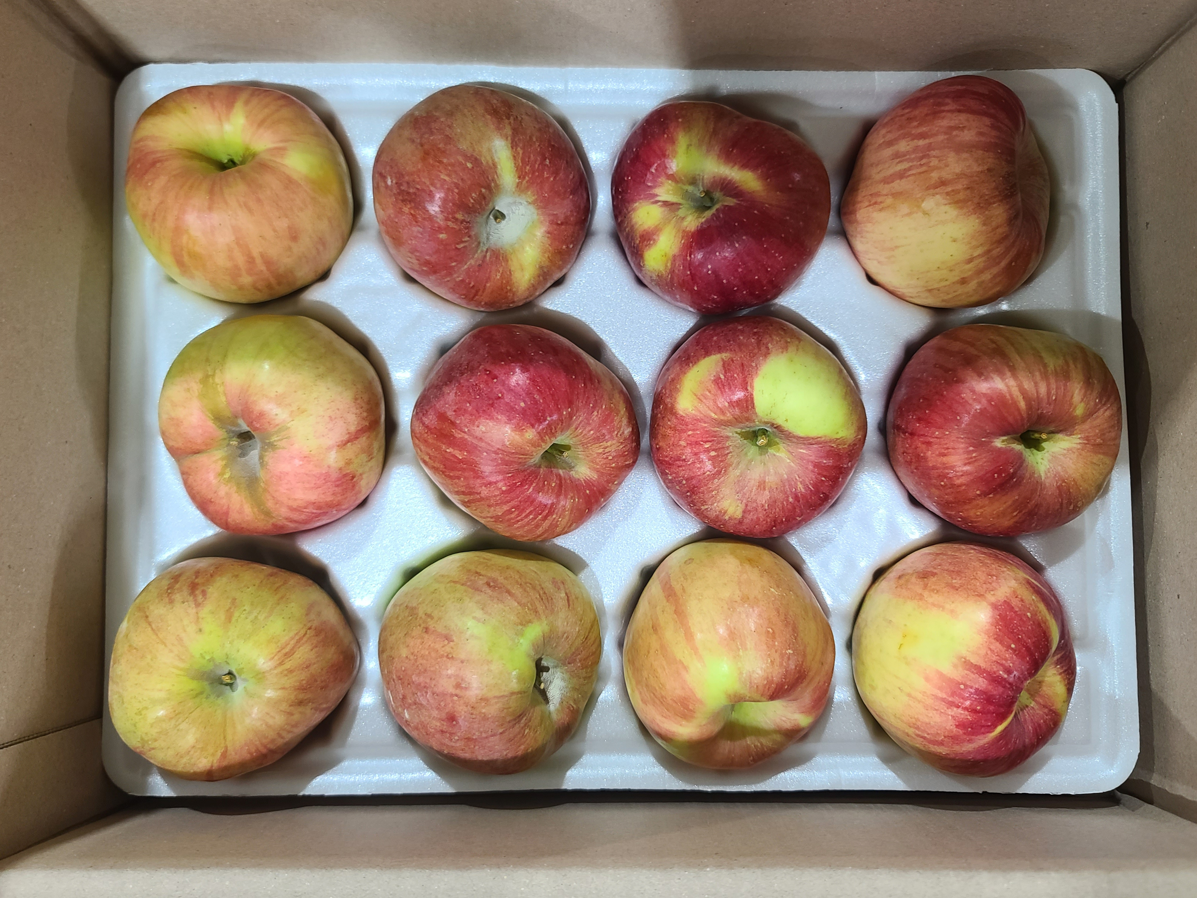 신선마켓 맛있는 홍로 사과 가정용 중소과, 3kg, 1개 이미지 8