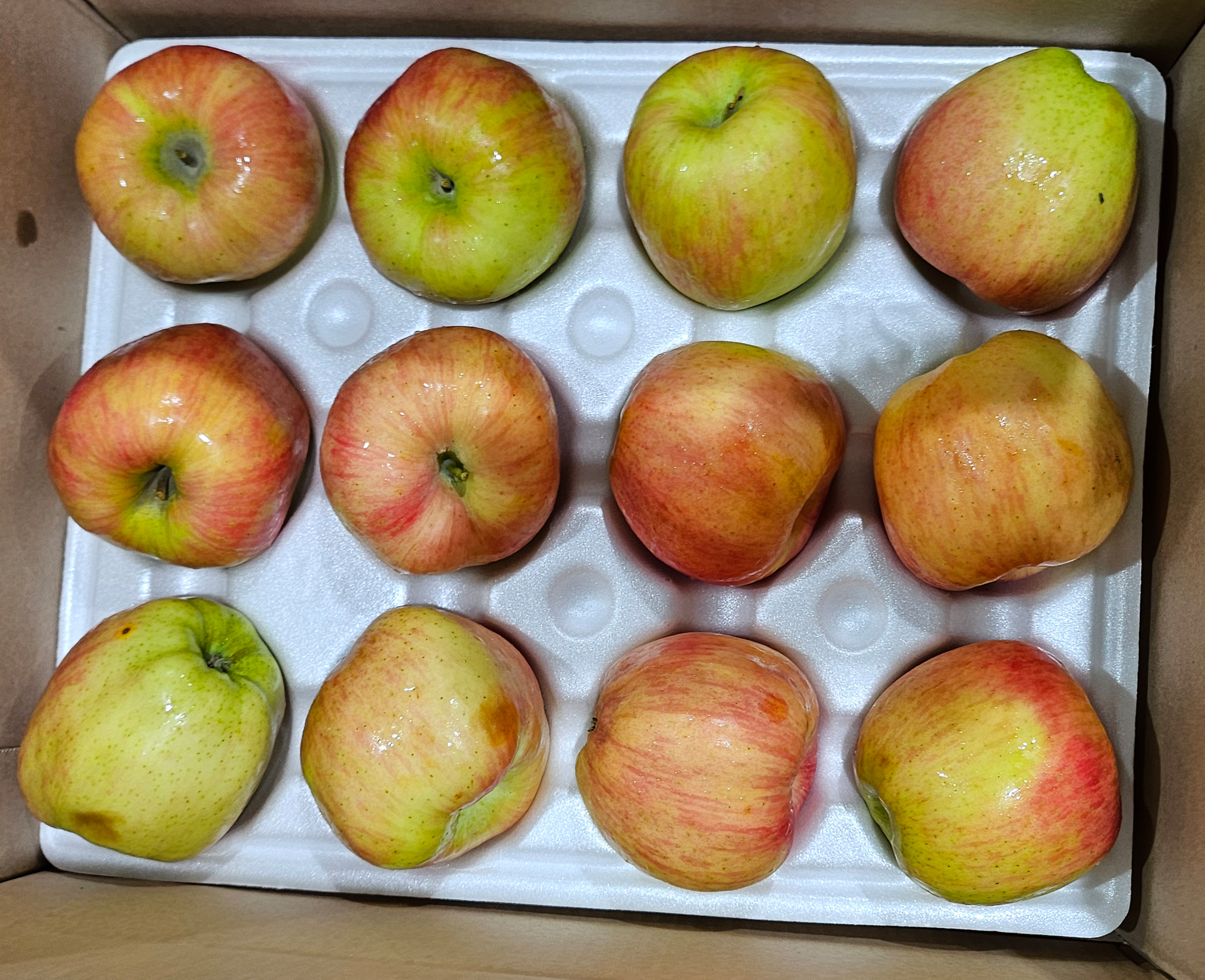 신선마켓 맛있는 홍로 사과 가정용 소과, 1kg, 1개 - 상세 이미지 4