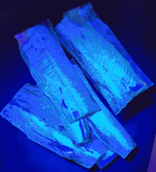 KF 학꽁치포 생미끼 채비 쭈꾸미 갑오징어 미끼 한치 삼봉에기 야광 UV 이미지 6