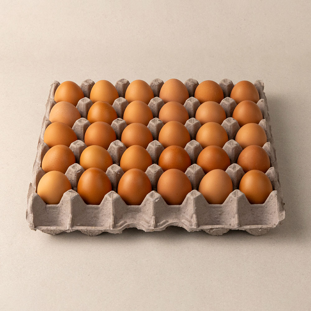 맥반석 구운계란 구운란 30구 60구 HACCP 쫄깃한 간식 아침대용 - 상세 이미지 5