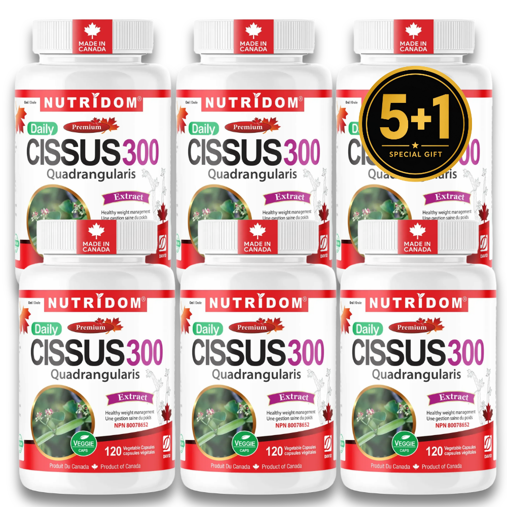 뉴트리돔 캐나다 시서스 300 순수 씨서스 추출물 150mg 120캡슐, 6개 - 상품 이미지