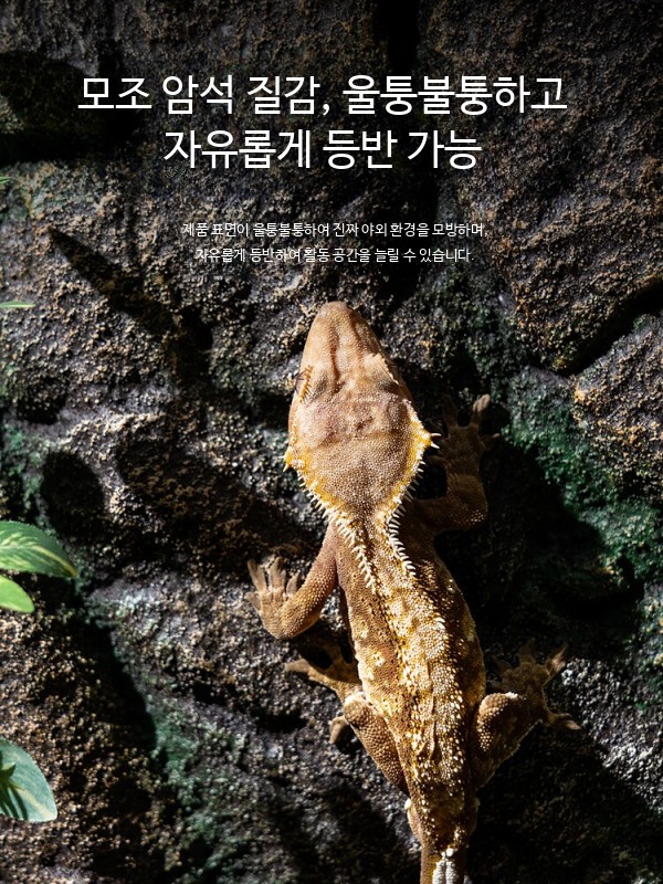 도마뱀 백스크린 사육장 스크린케이지 레이아웃 기본모델 03 - 상세 이미지 4