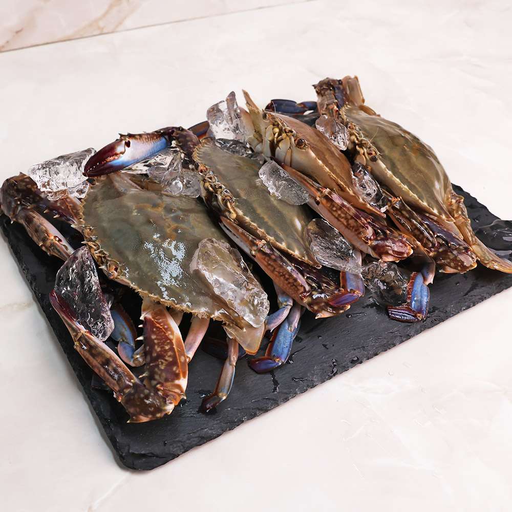 오늘신선 신선도 보장 태안 신진도 꽃게 산지직송 숫꽃게 1kg - 상세 이미지 5