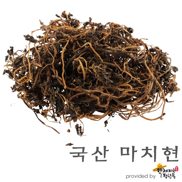 국산 마치현 말린 건조 쇠비름 300g - 상품 이미지