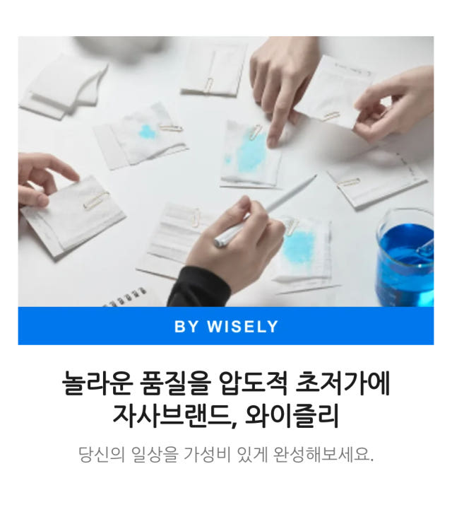 와이즐리 에어워싱 대용량 고체 탈취제 린넨향 300g, 2개