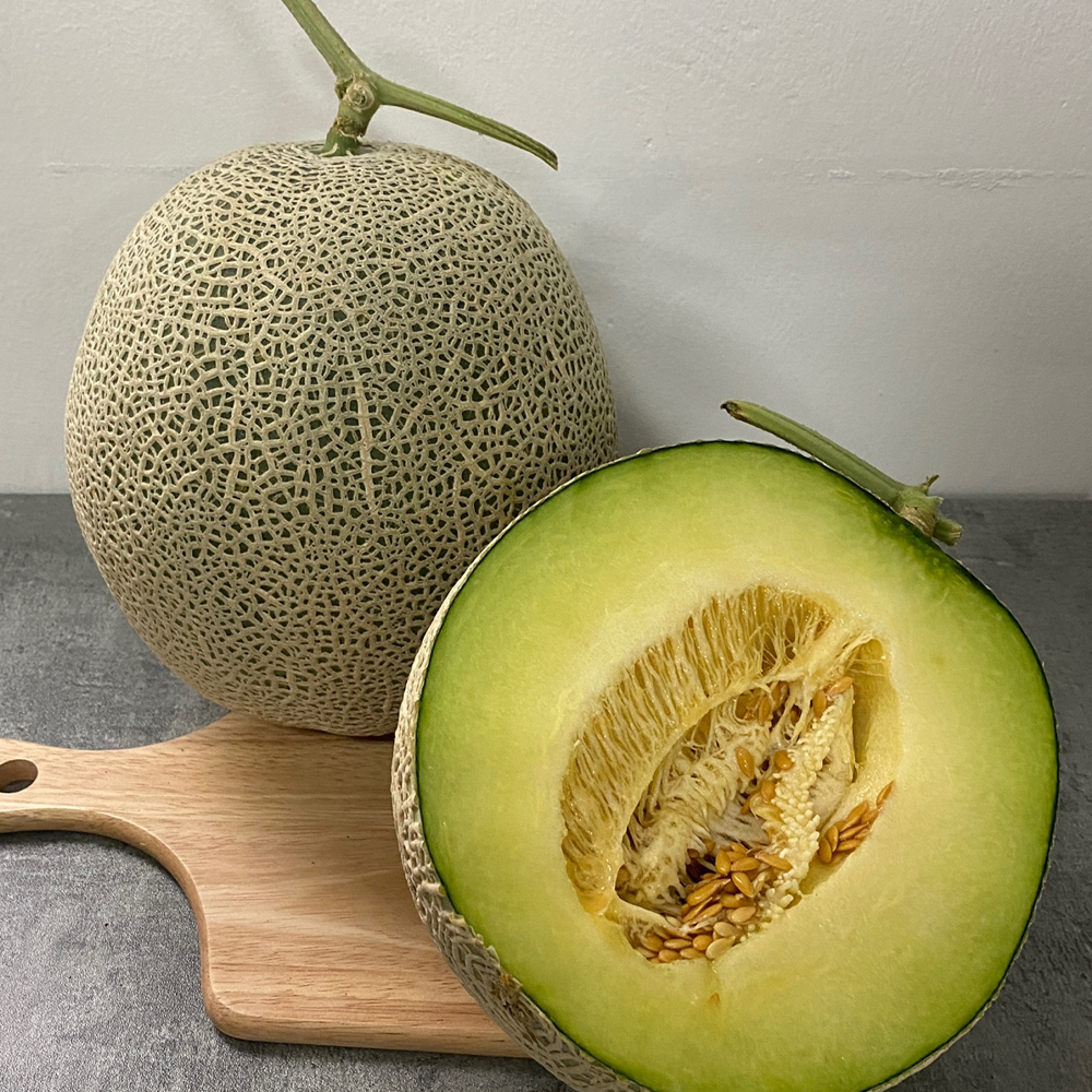 프리미엄 고당도 머스크메론 선물세트 5kg 2수 제철 메론 당도선별 - 상세 이미지 5