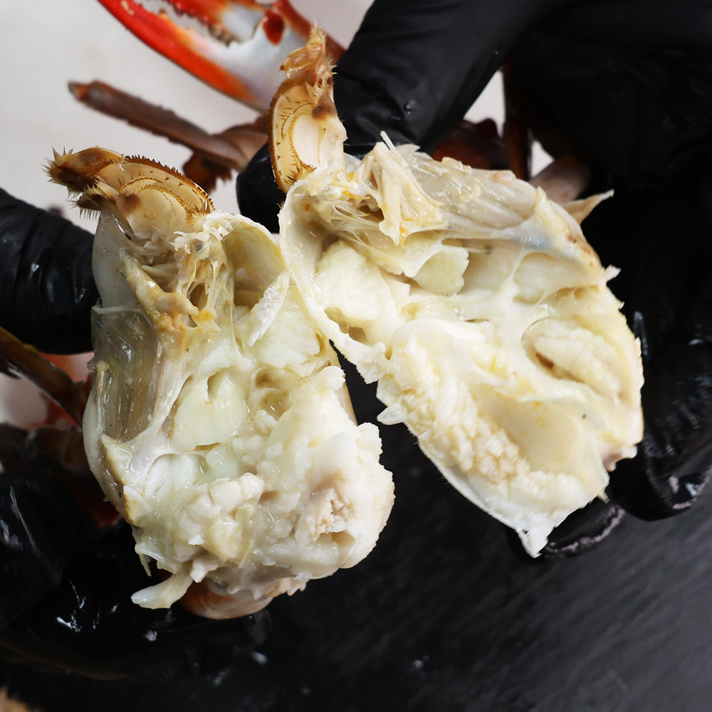 오늘신선 신선도 보장 태안 신진도 꽃게 산지직송 숫꽃게 1kg - 상세 이미지 4