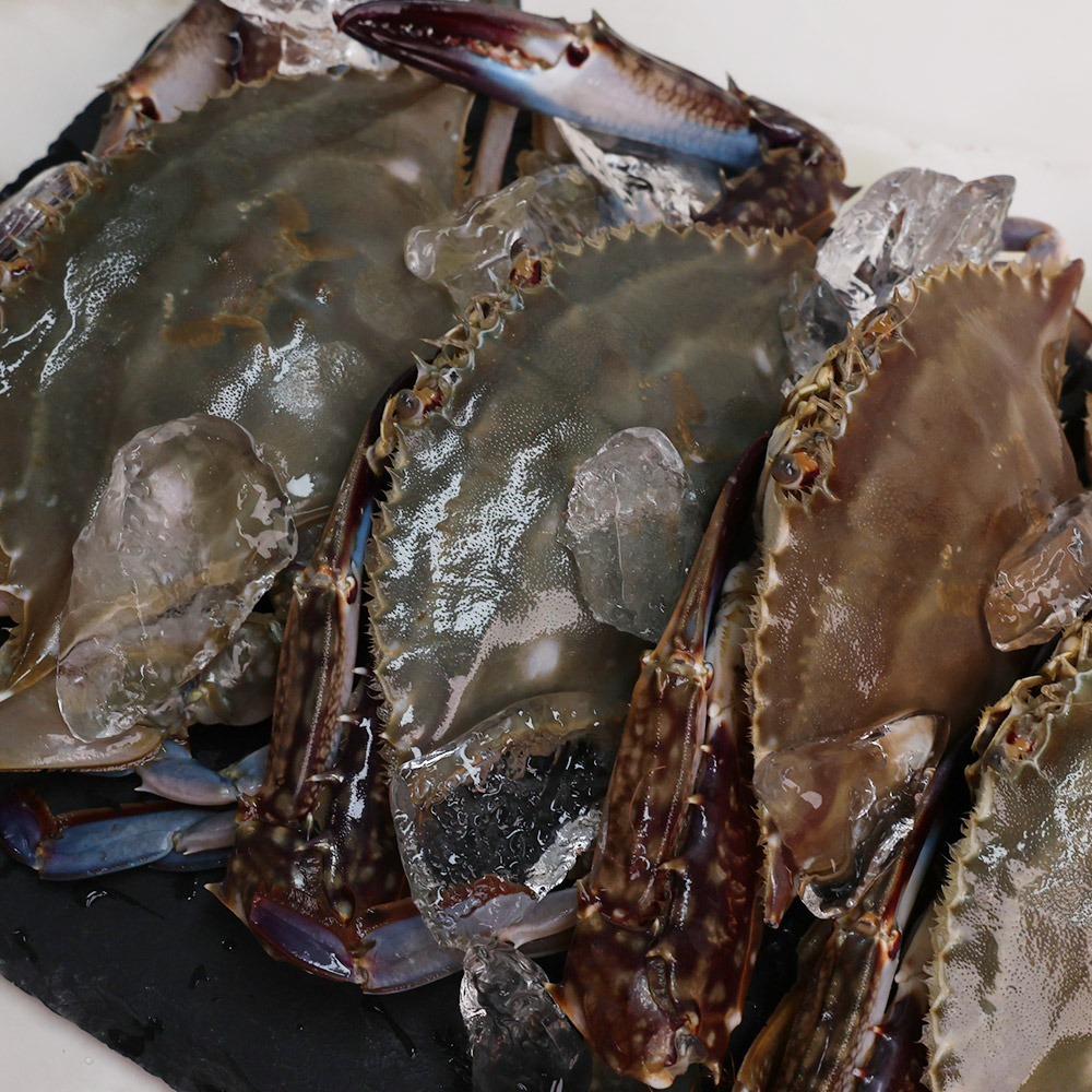 오늘신선 신선도 보장 태안 신진도 꽃게 산지직송 숫꽃게 1kg - 상세 이미지 2