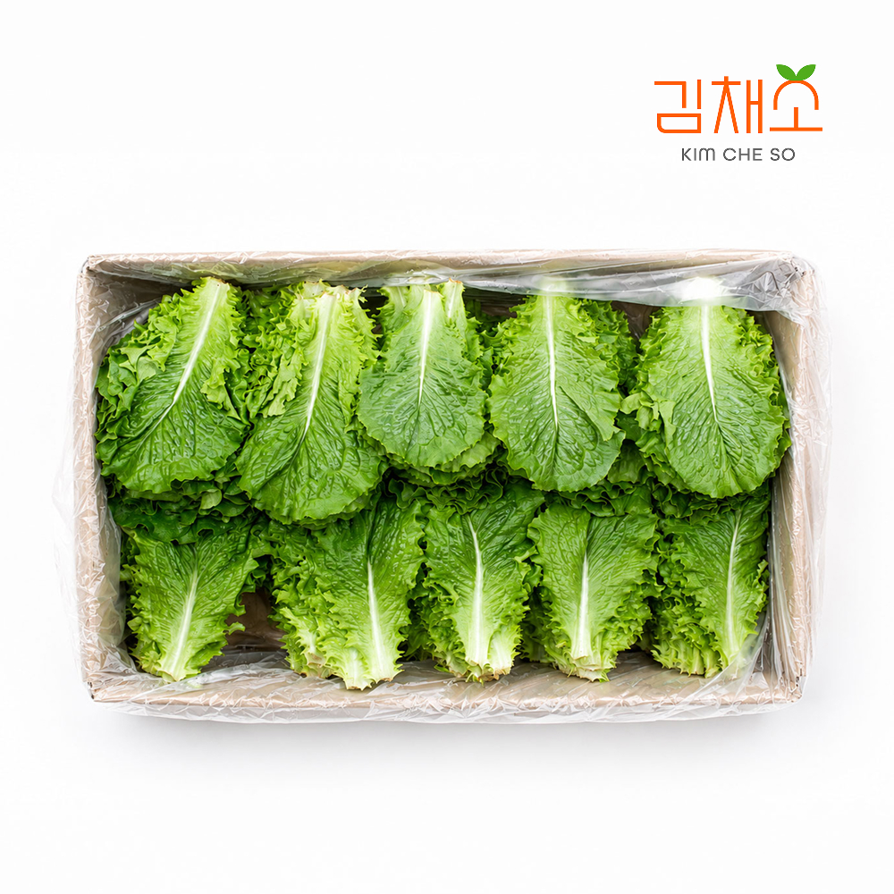 김채소 국내산 청상추 4kg, 1개 - 상품 이미지