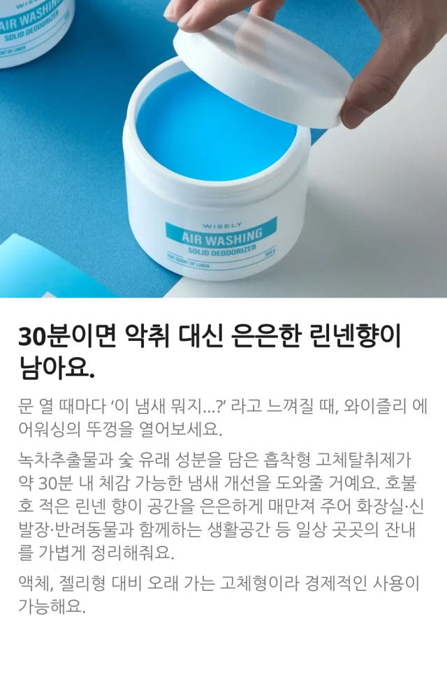 와이즐리 에어워싱 대용량 고체 탈취제 린넨향 300g, 2개