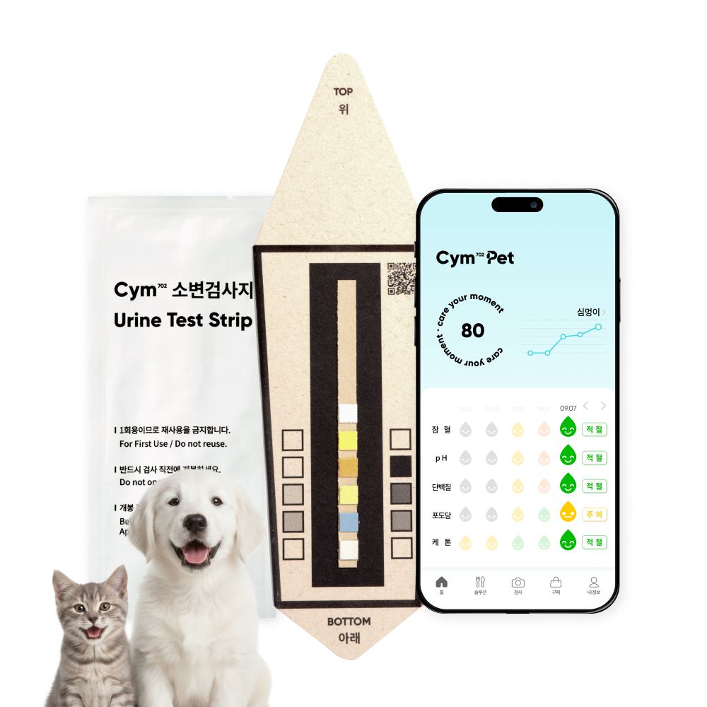반려동물 소변검사 키트 2회 강아지 고양이 건강검진 5종 옐로시스 Cym702 Pet - 메인 이미지