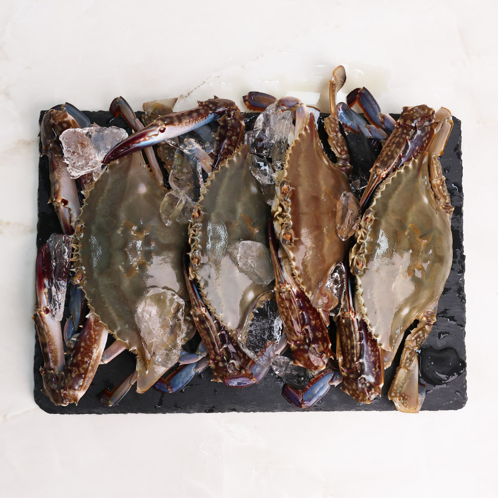 오늘신선 신선도 보장 태안 신진도 꽃게 산지직송 숫꽃게 1kg - 상세 이미지 3