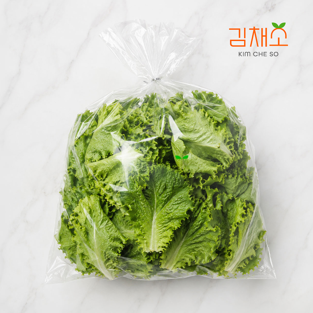 김채소 국내산 산지직송 청상추 1kg, 1개 - 상품 이미지