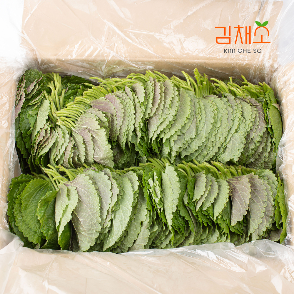 김채소 산지직송 더 싱싱한 깻잎 특품 1kg, 1개 - 상품 이미지