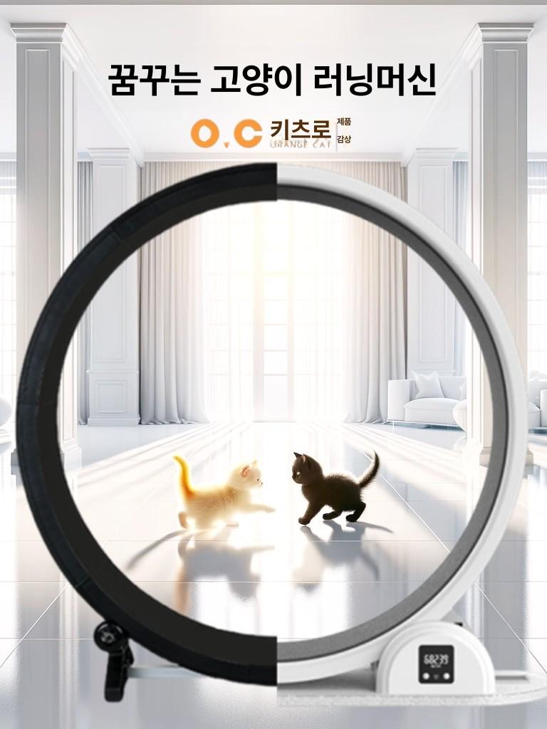 무소음 캣휠 고양이 원목 러닝머신 캣타워 베어링 운동기구 화이트 ABS태양광카운터브레이크잠금수출일본 - 상세 이미지 3