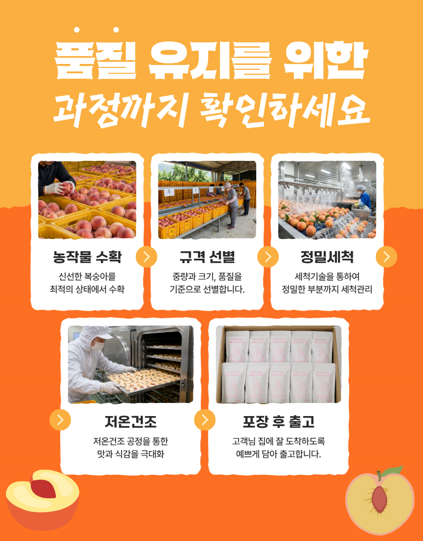 동결건조 말린 복숭아 과일 칩 간식 과자 혼자먹는 꽈삭칩 20g, 1개 - 상세 이미지 4