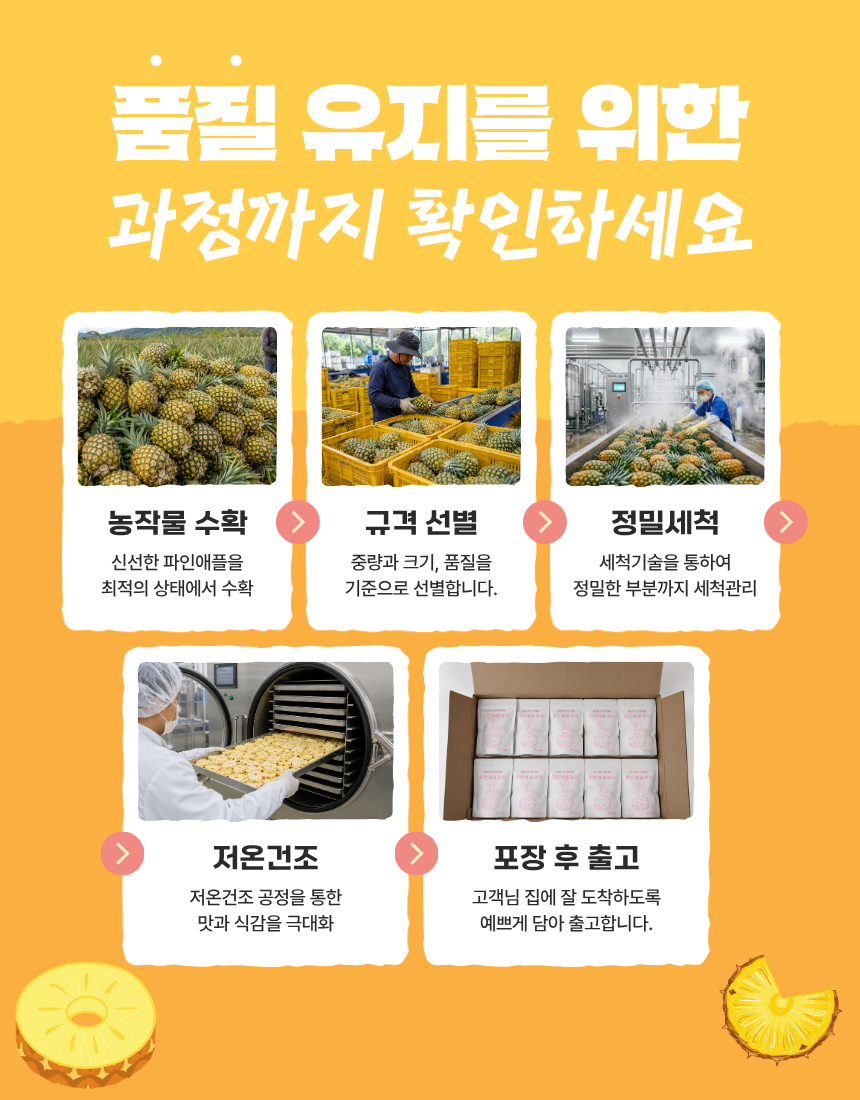 저칼로리 저당 과자 동결건조 과일 파인애플칩 혼자먹는 꽈삭칩 20g, 5개 - 상세 이미지 4