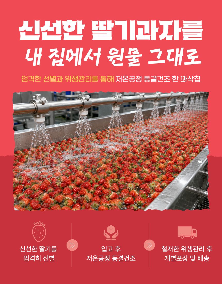 동결건조 딸기 저당 과자 저칼로리 간식 과일칩 혼자먹는 꽈삭칩 10g, 10개 - 상세 이미지 3