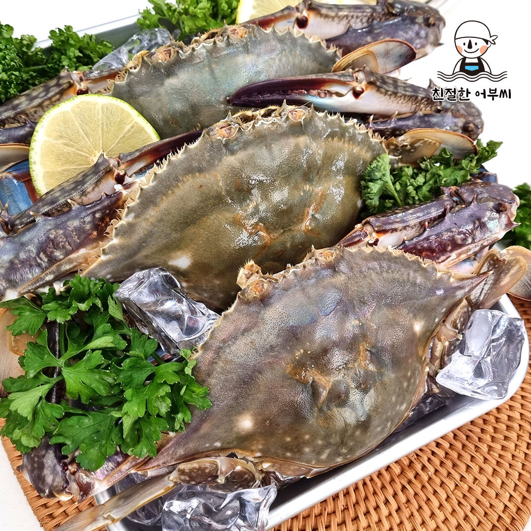 꽃게 제철 숫꽃게 냉동 급냉 국산 2kg 가격 비교 친절한어부씨 꽃게 제철 숫꽃게 냉동 급냉 국산 2kg