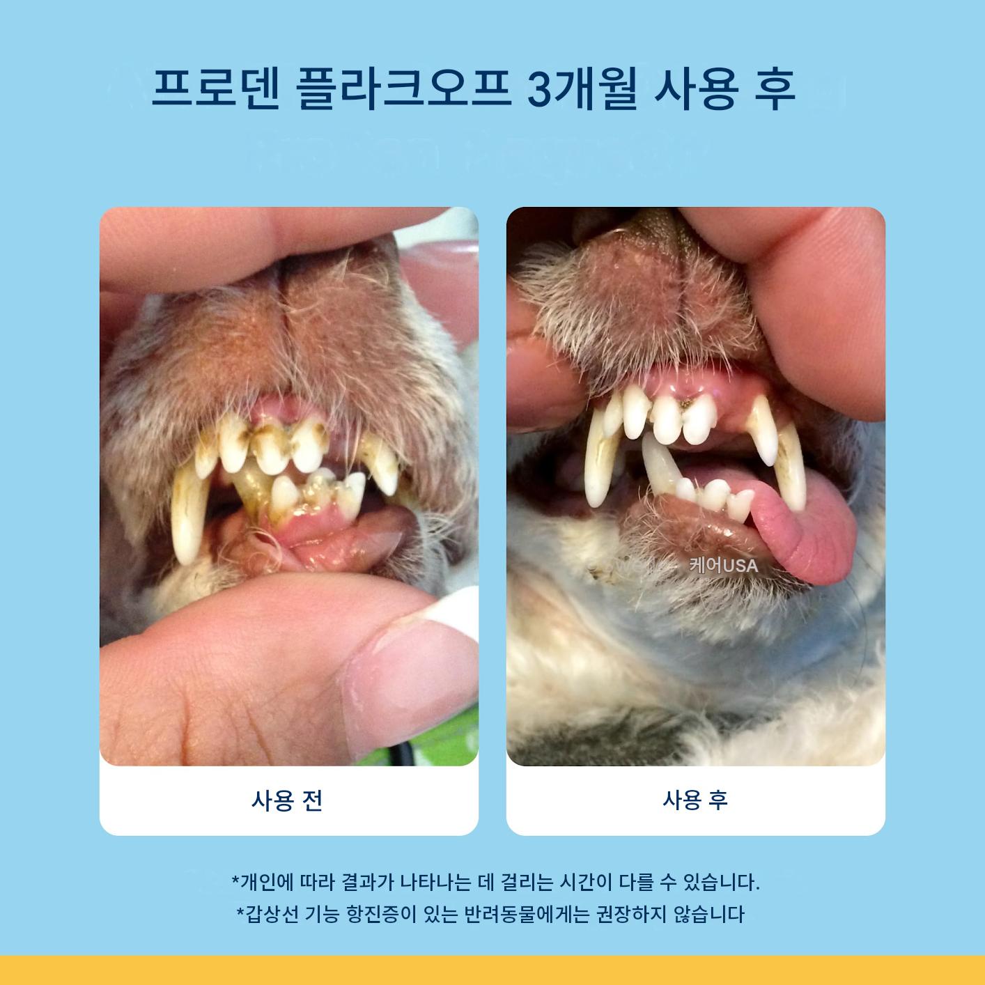 대용량 플라그오프 고양이 치석 제거 스쿱형 연어맛 신제품 미국직송 - 상세 이미지 2