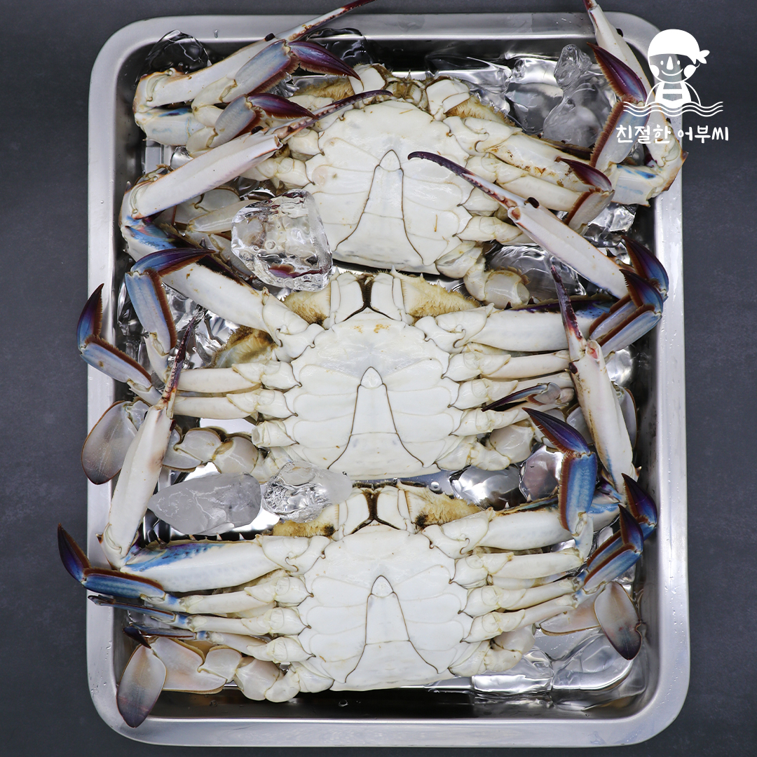 숫꽃게 제철 햇 꽃게 냉동 급냉 특대 2kg 수산물이력제 친절한어부씨 상품 이미지