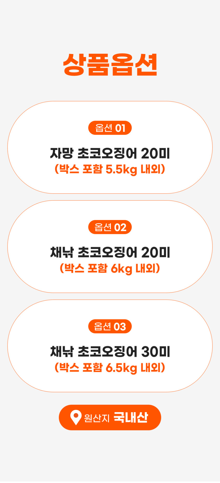 초코오징어 20미 30미 동해안 선동 오징어 내장 통찜 숙회 판매처 상세 정보 이미지 4
