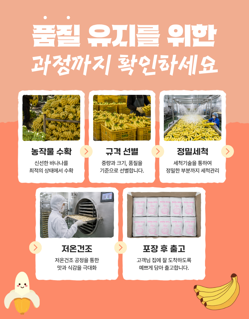 저당 과일 간식 동결건조 말린 바나나칩 과자 혼자먹는 꽈삭칩 30g, 1개 - 상세 이미지 4