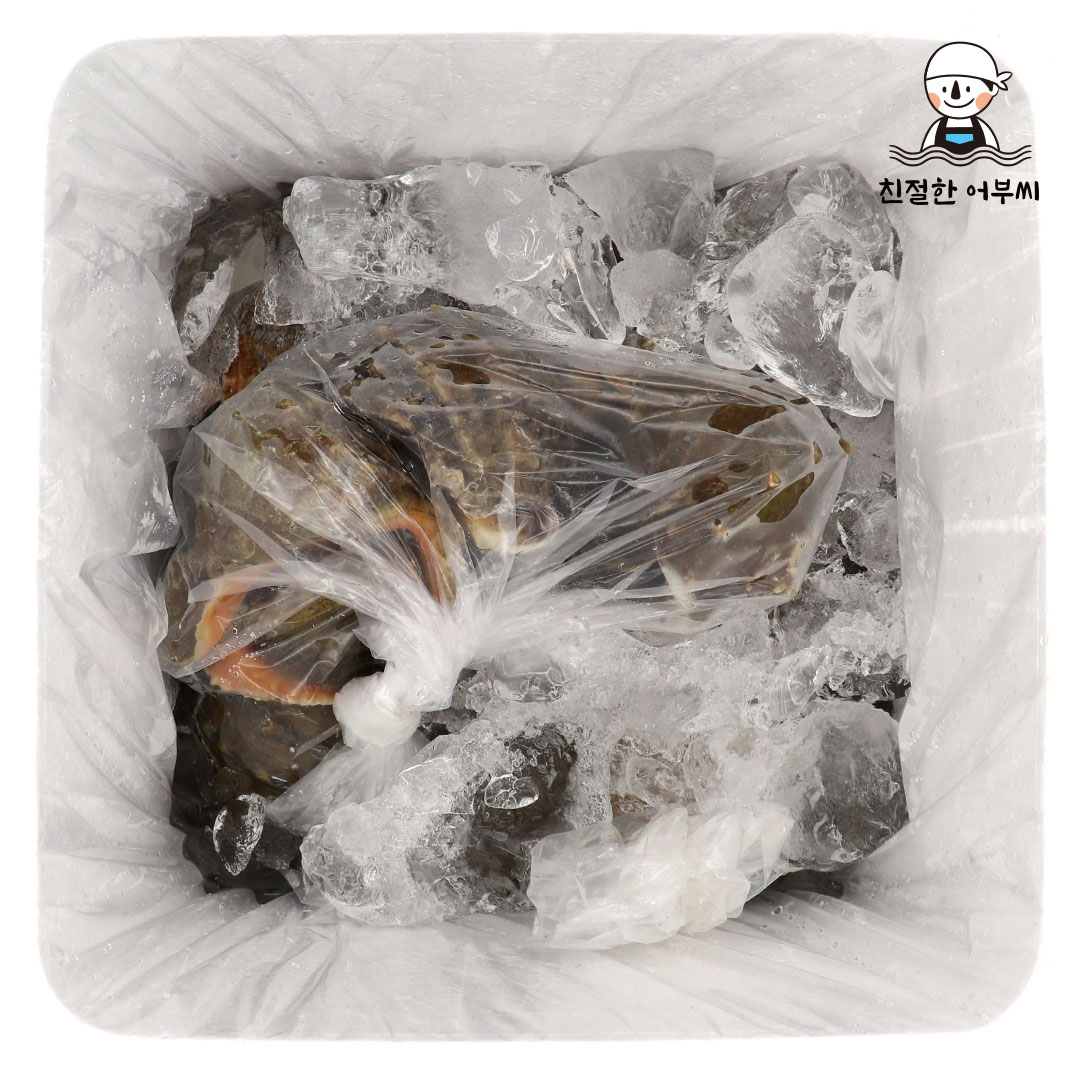자연산 참소라 생물 1kg 소라회 숙회 국내산 안면도 친절한어부씨 - 상세 이미지 2