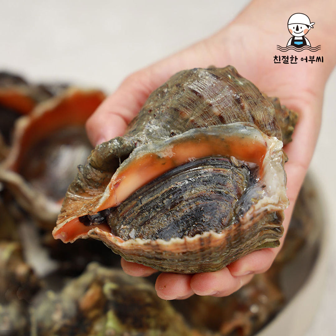 자연산 참소라 생물 1kg 소라회 숙회 국내산 안면도 친절한어부씨 - 상품 이미지