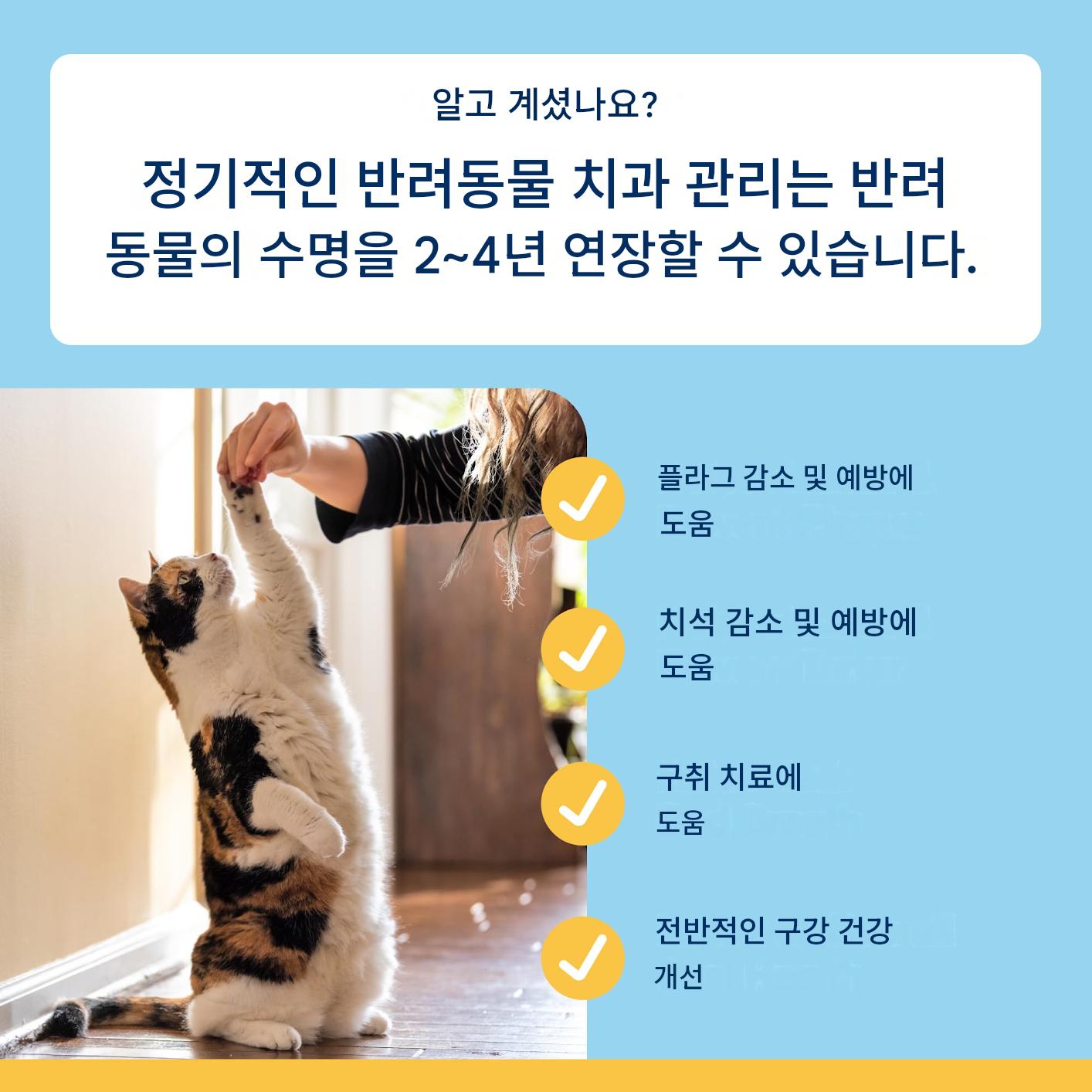 대용량 플라그오프 고양이 치석 제거 스쿱형 연어맛 신제품 미국직송 - 상세 이미지 4