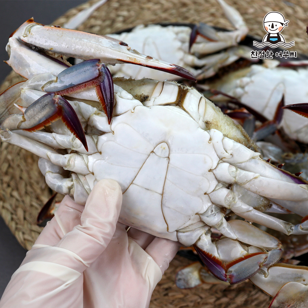 숫꽃게 제철 햇 꽃게 냉동 급냉 특대 2kg 수산물이력제 친절한어부씨 상품 이미지