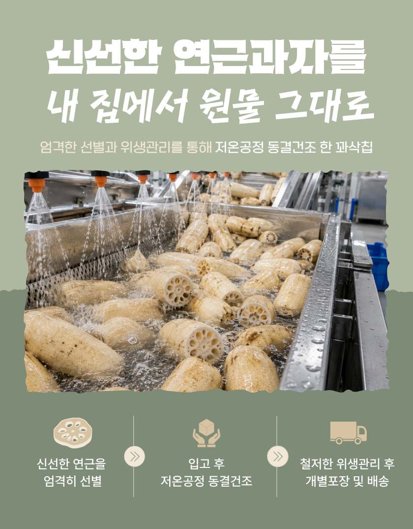 연근칩 저당 간식 동결건조 야채 과자 연근부각 혼자먹는 꽈삭칩 30g, 1개 - 상세 이미지 3