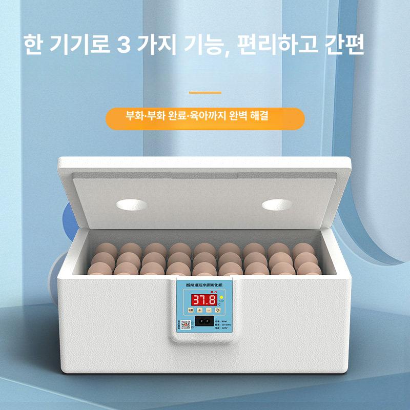 병아리 육추기 부화기 사육 메추리 인큐베이터 사육장 10개 수전기 USB(5v) - 상세 이미지 5