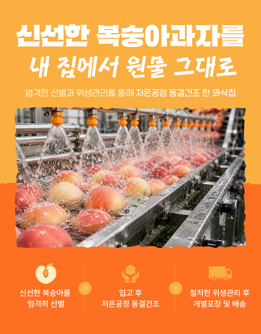 동결건조 말린 복숭아 과일 칩 간식 과자 혼자먹는 꽈삭칩 20g, 1개 - 상세 이미지 3