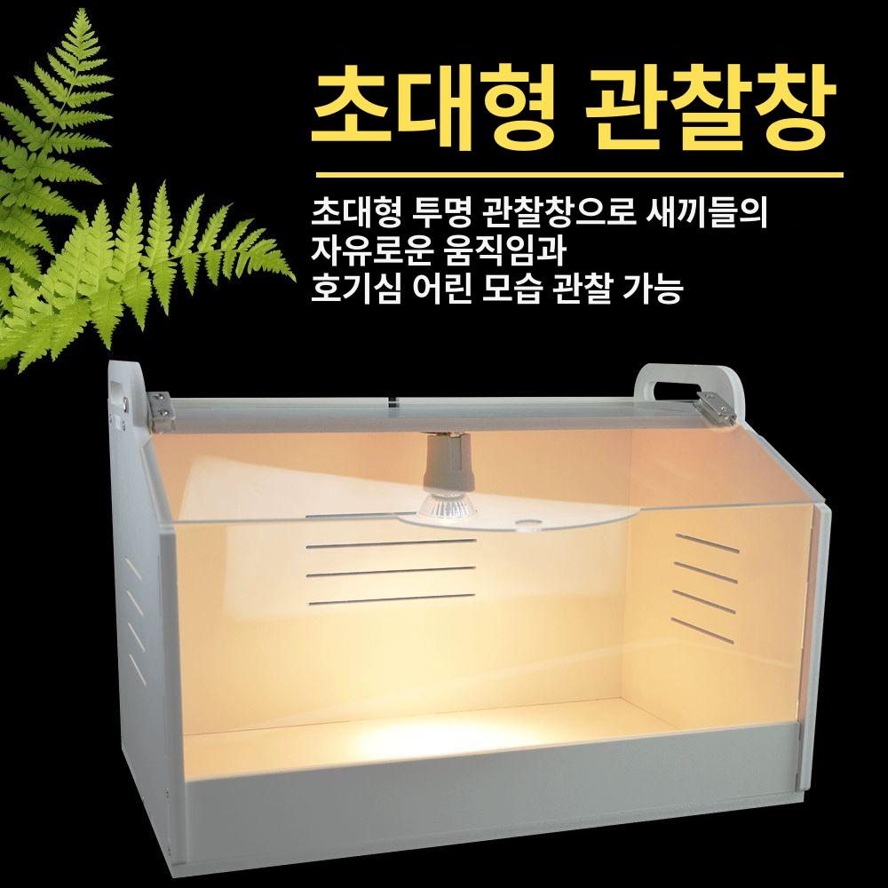 병아리 육추기 부화기 사육 온도조절 키우기 사육장 소형 번식 상자(단일 램프 베이스 램프 없음) - 상세 이미지 5