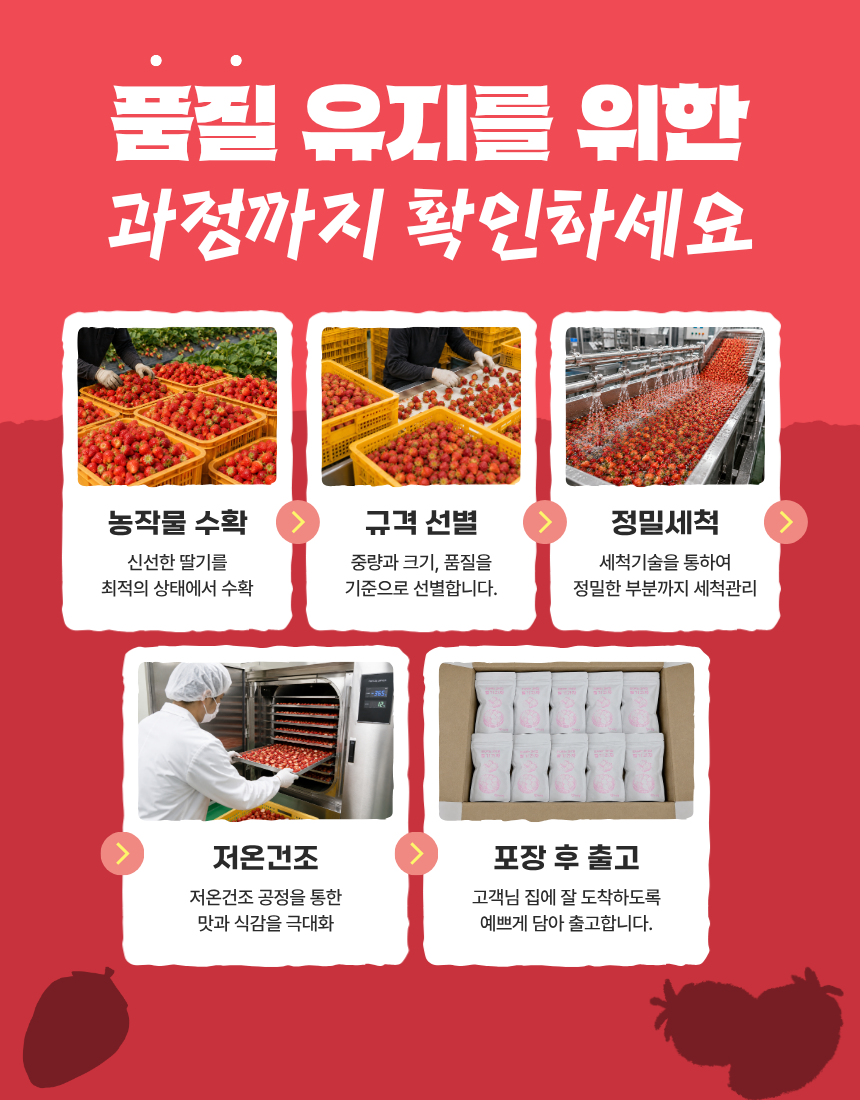 동결건조 딸기 저당 과자 저칼로리 간식 과일칩 혼자먹는 꽈삭칩 10g, 10개 - 상세 이미지 4