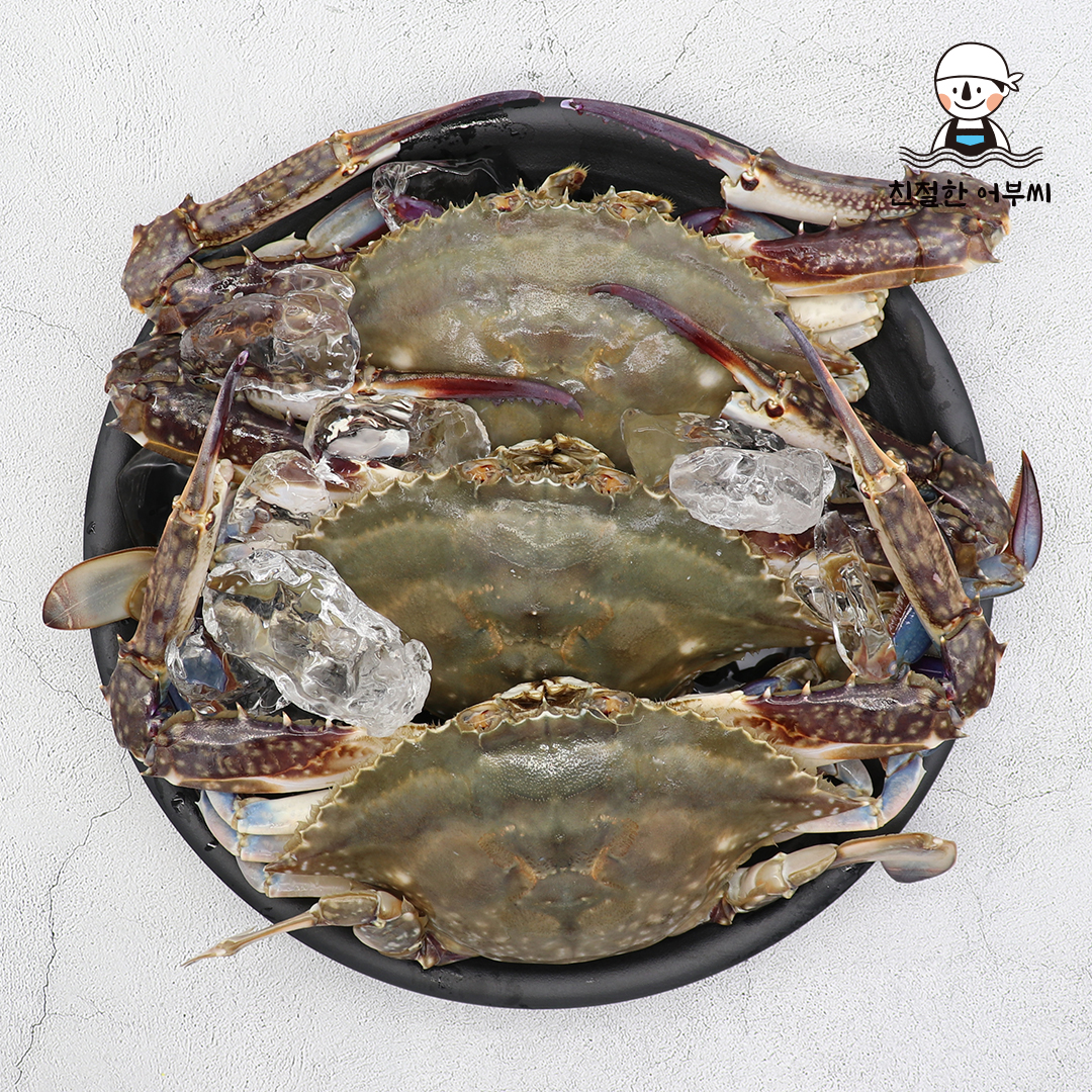 숫꽃게 제철 햇 꽃게 냉동 급냉 특대 2kg 수산물이력제 친절한어부씨 상품 이미지